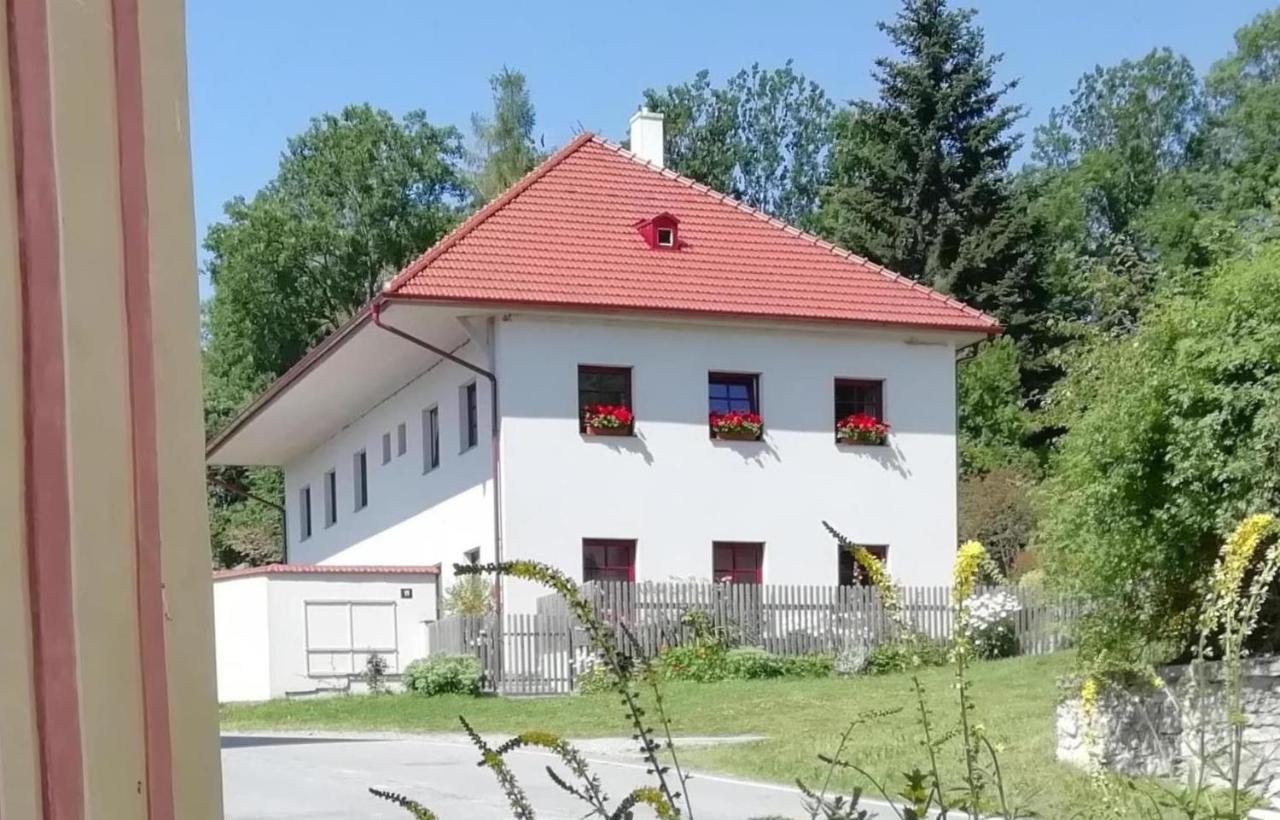 Ubytovani Praschlhaus Horní Planá Dış mekan fotoğraf