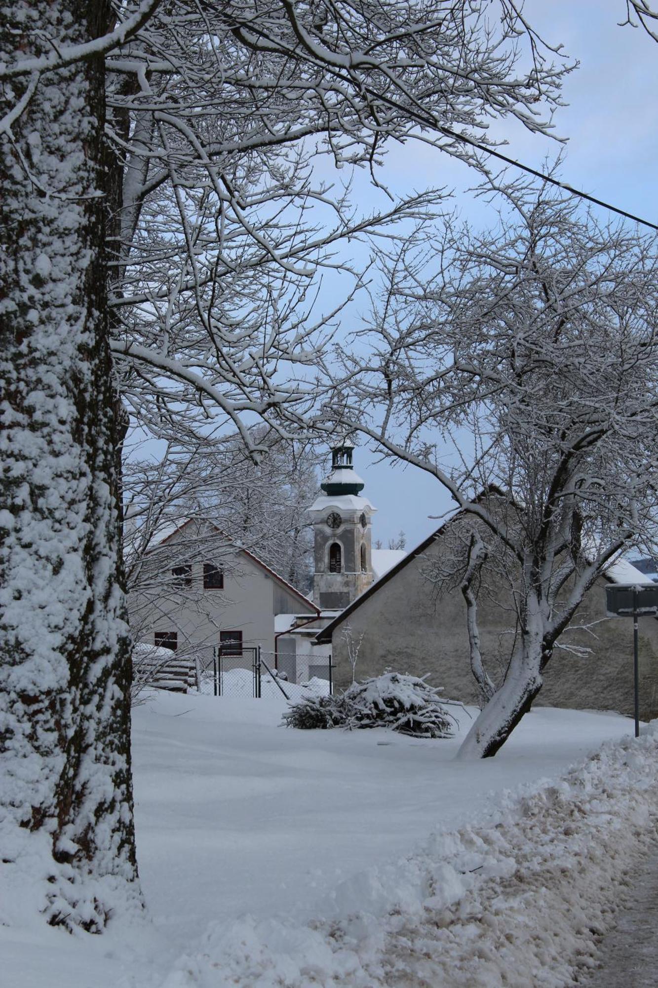 Ubytovani Praschlhaus Horní Planá Dış mekan fotoğraf