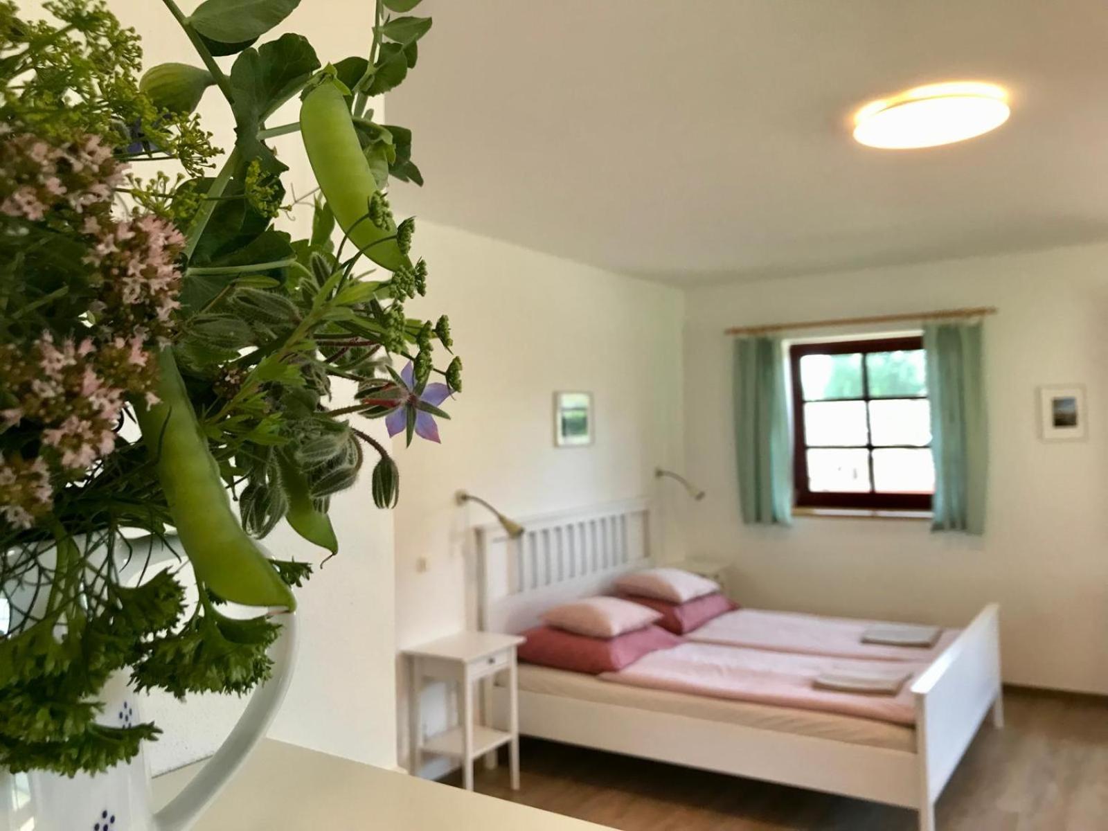Ubytovani Praschlhaus Horní Planá Dış mekan fotoğraf