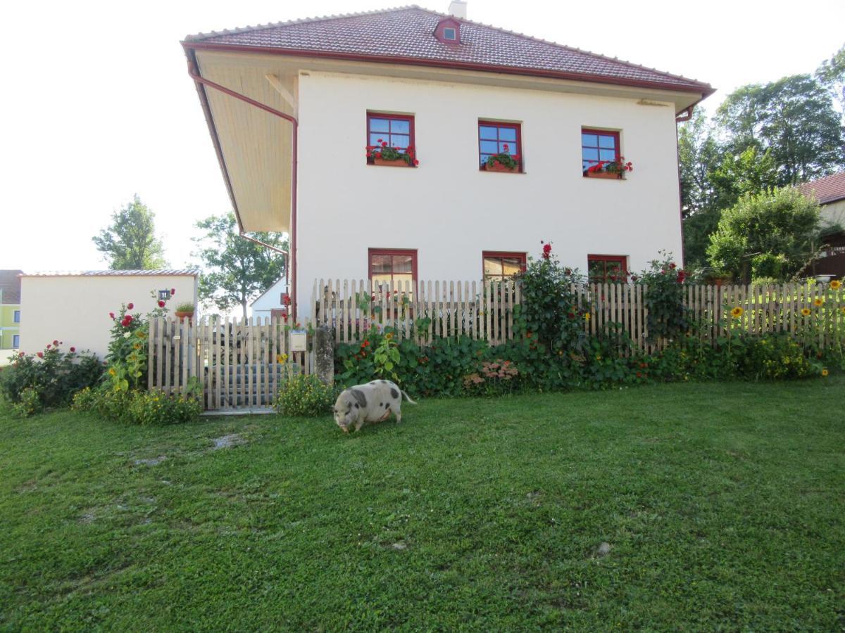 Ubytovani Praschlhaus Horní Planá Dış mekan fotoğraf